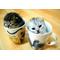 [V:4F4E]萌えvoice[V:4F4E]