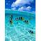 [A:F445]SURF[A:F660]SURF[A:F660]SURF[A:F445]