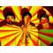 Animal Collective
