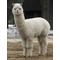 [D:F9EB][D:F9F4]コメリの会[D:F9F4][D:F9EB]