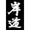 team.黒鱒狩人