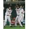 日本プロ野球応援会