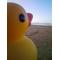 [D:F9F4]THE生存確認[D:F9F4]