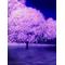 [V:4F2A]音楽好きよ集え[V:4F2A]