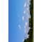 つながっている空[A:F3C6]