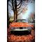 [D:F99F][D:F99F]American Car[D:F8C0][D:F9AD]