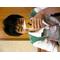 [V:4F4E][V:4742]小声町[V:4742][V:4F4E]