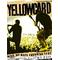 WE[A:F37C]YELLOWCARD[A:F6E0]